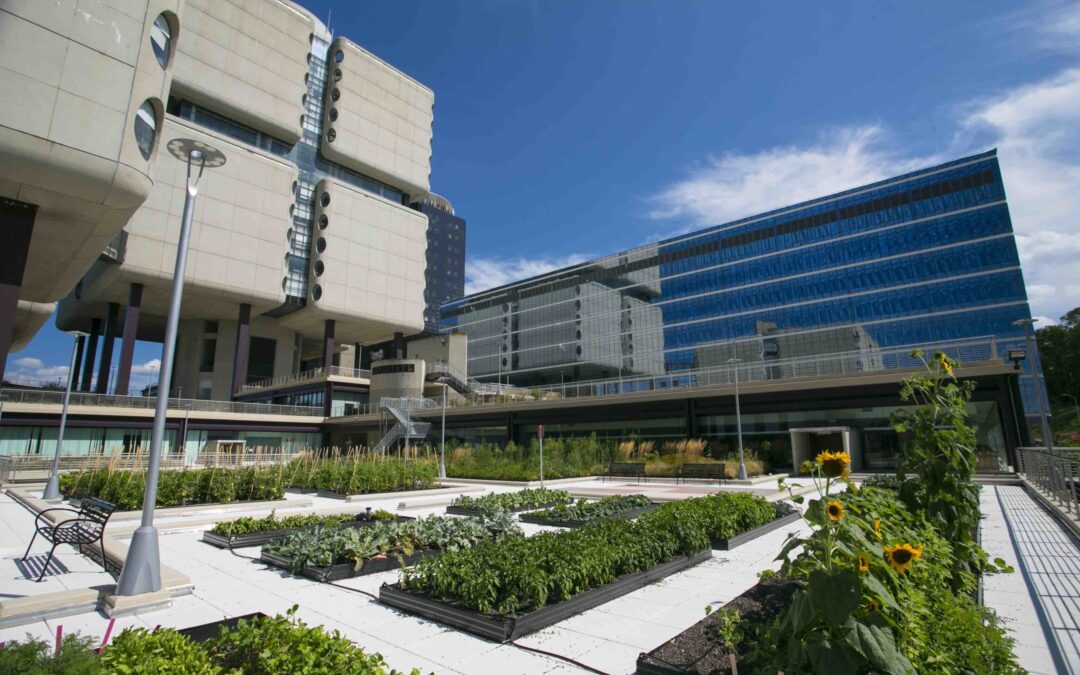 These Game-Changing U.S. Hospitals Grow Their Own Produce for Hospital Meals and More