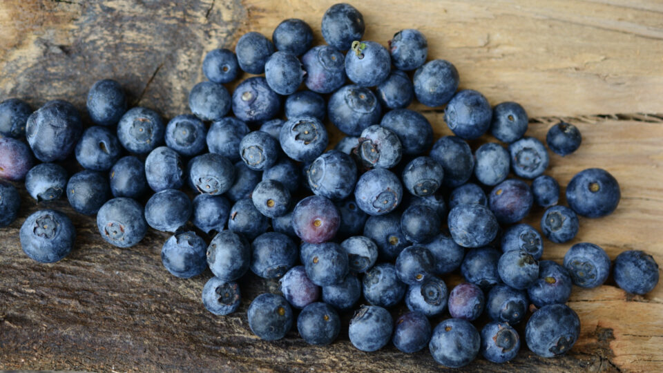 Blueberries Can Improve Artery Function