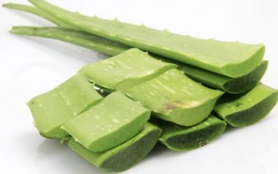 Aloe Is Put to the Test Against Cancer