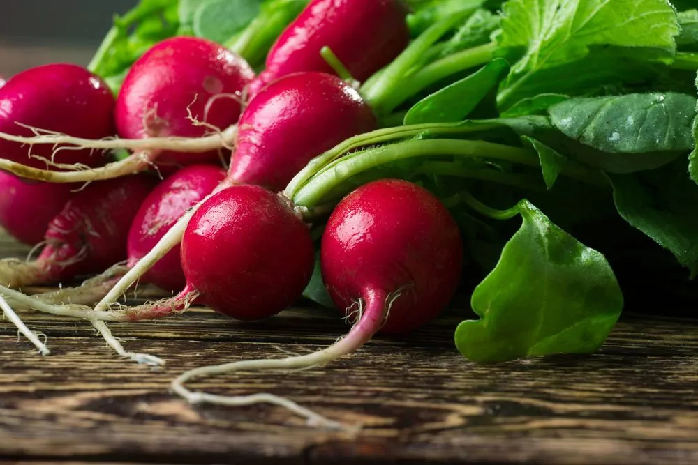 How to Use Radishes from Root to Leaf